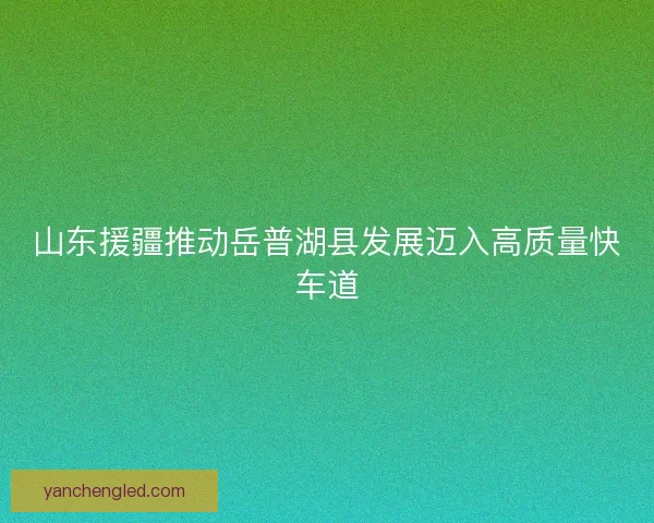 山东援疆推动岳普湖县发展迈入高质量快车道